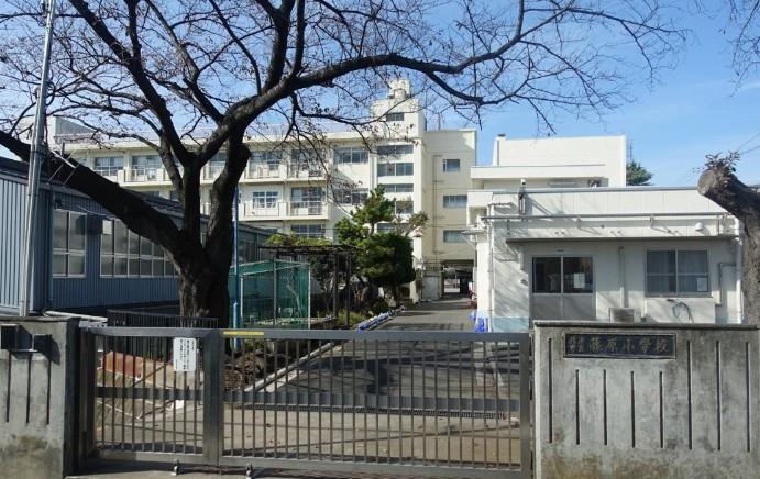小学校　横浜市立篠原小学校（小学校）まで995m