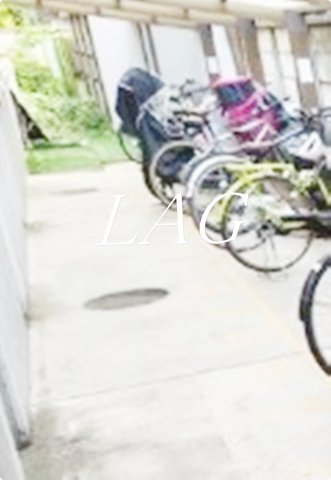 その他共有部分　駐輪場になります。