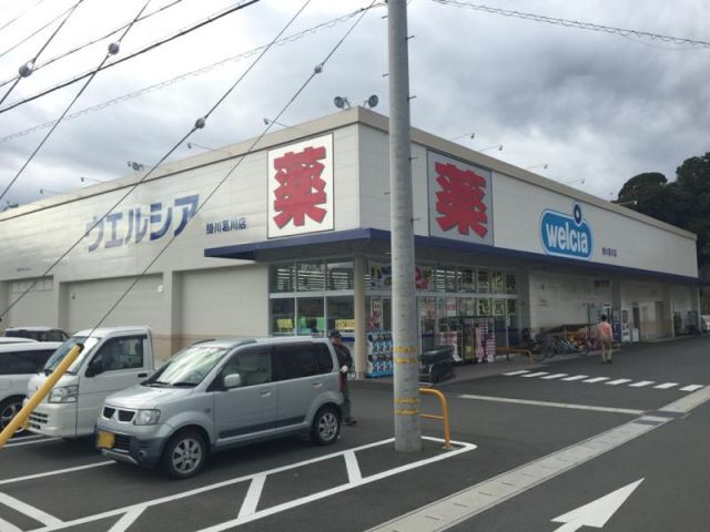 ドラックストア　ウエルシア 掛川葛川店（ドラッグストア）まで982m