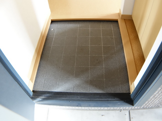 玄関　※他号室の写真です。