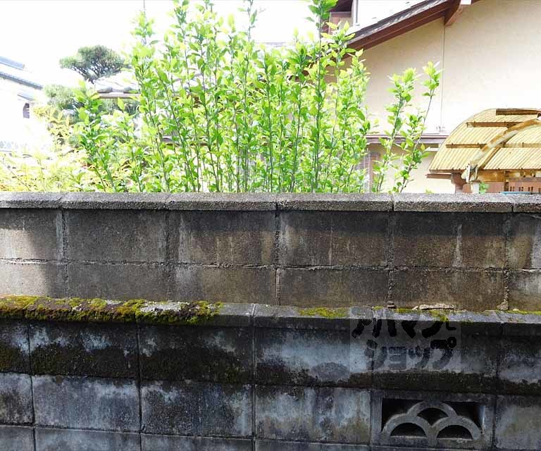 眺望　室外風景