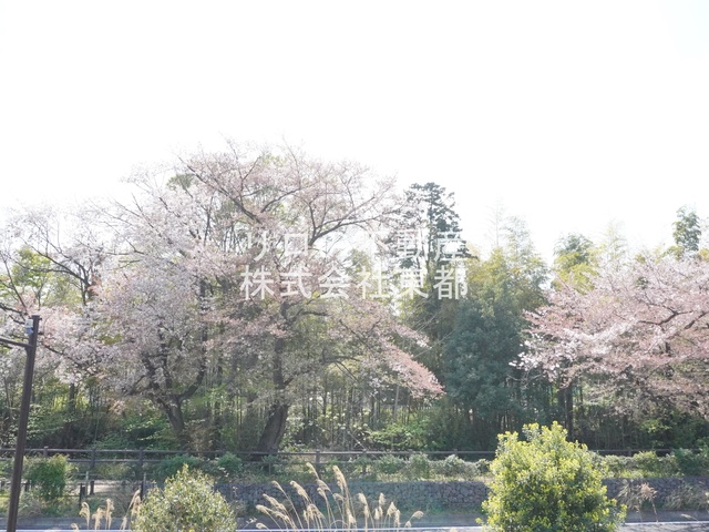 眺望　圧迫感がないので暮らしやすいお部屋です！