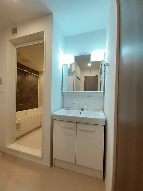 洗面設備　シャワー付き洗面台です。