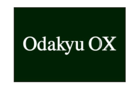 スーパー　Odakyu OX(オダキュウ オーエックス) 生田店（スーパー）まで716m