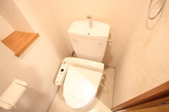 トイレ　※別号室の写真です