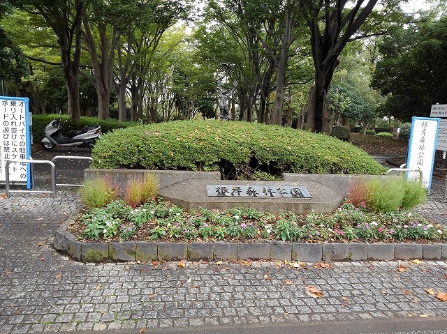公園　根岸森林公園（公園）まで617m