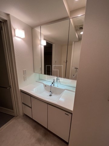 洗面設備　ラ・ヴィータ日本橋　独立洗面台