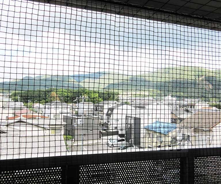 眺望　ネット付いてます