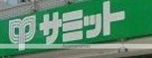 スーパー　サミットストア　環八南田中店（スーパー）まで523m