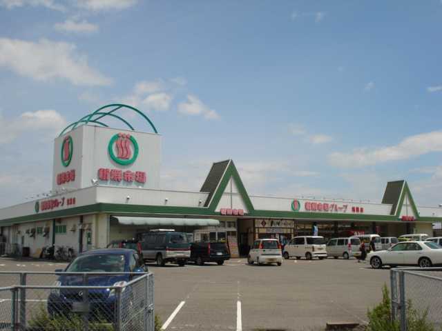 その他　新鮮市場（その他）まで675m