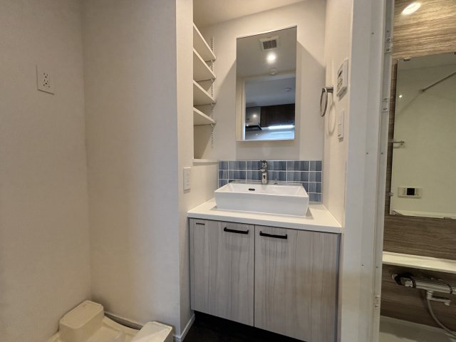 洗面設備　スペースが確保できる洗面所です