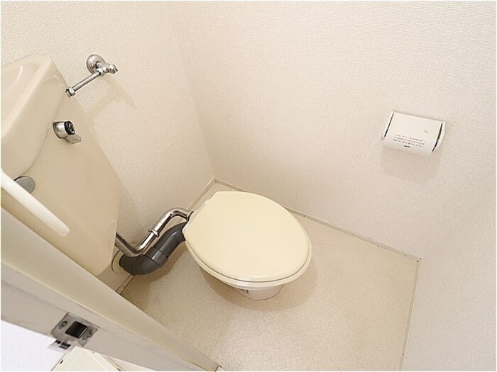 トイレ　トイレです