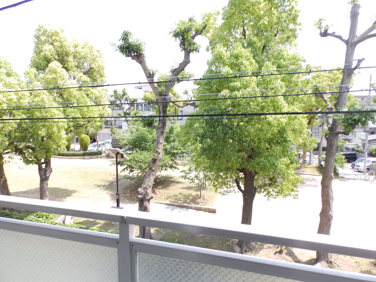 眺望　前が公園です