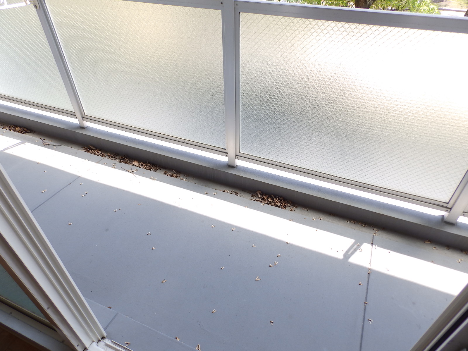 バルコニー　南向き