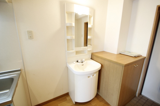 洗面設備　※別号室の写真です
