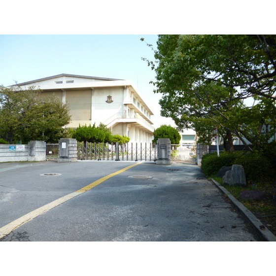 中学校　碧南市立南中学校（中学校）まで784m