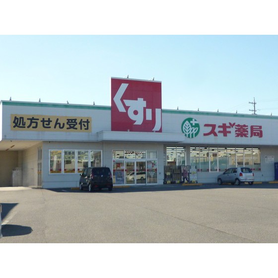 ドラックストア　スギ薬局大浜店（ドラッグストア）まで709m