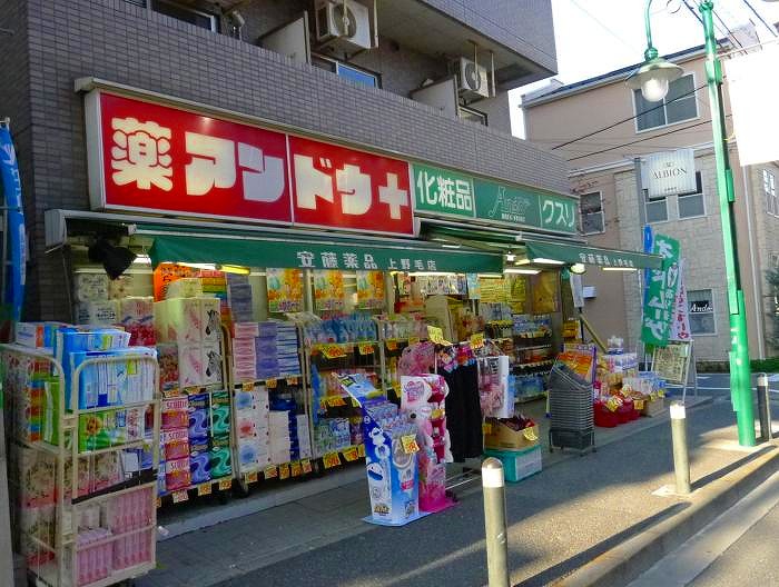 ドラックストア　安藤薬品株式会社上野毛店（ドラッグストア）まで819m
