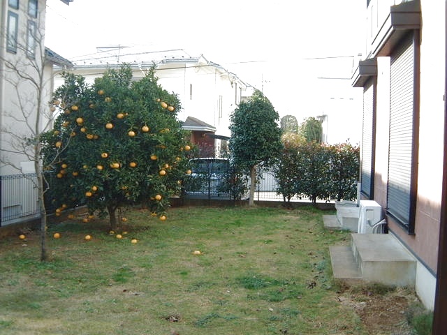 庭