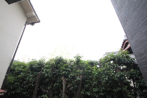 眺望　※別号室の写真です