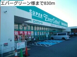 その他　エバーグリーン様（その他）まで830m