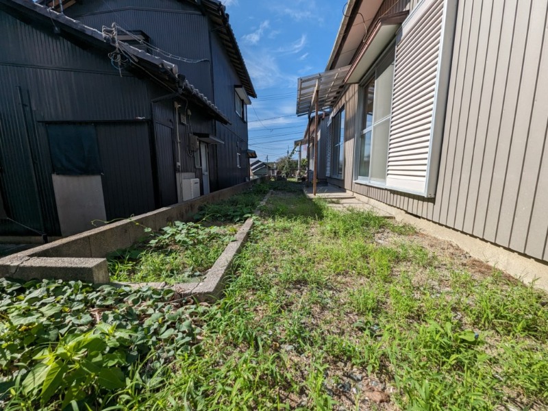 庭