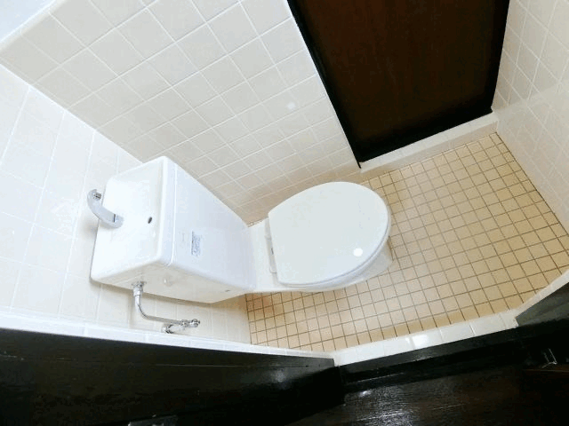 トイレ　他の部屋の参考写真です