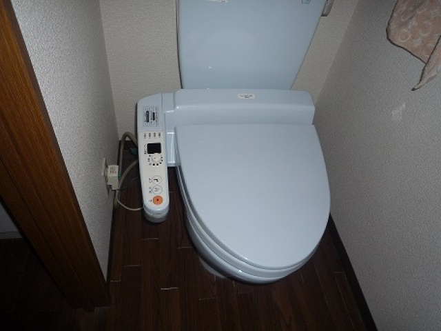 トイレ　同物件別号室の写真です。