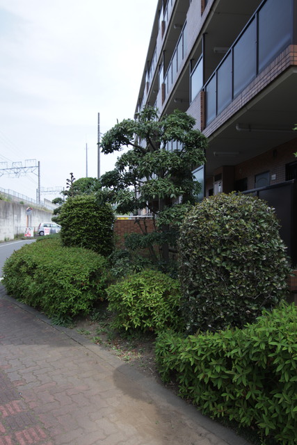 その他　植栽