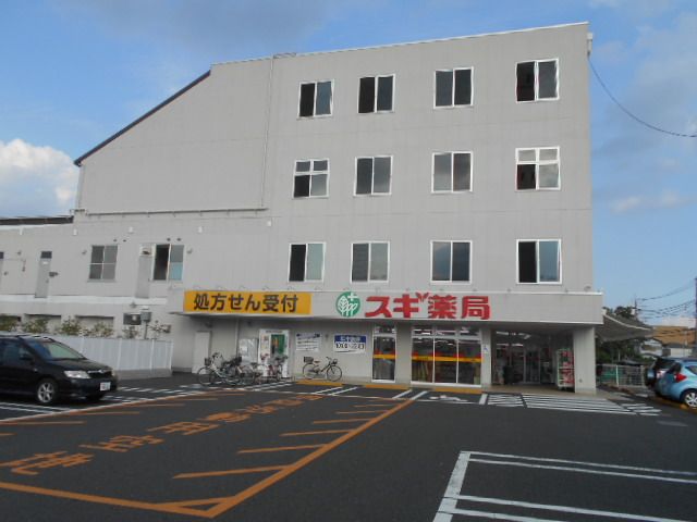 ドラックストア　スギ薬局 海老名東柏ケ谷店（ドラッグストア）まで1058m