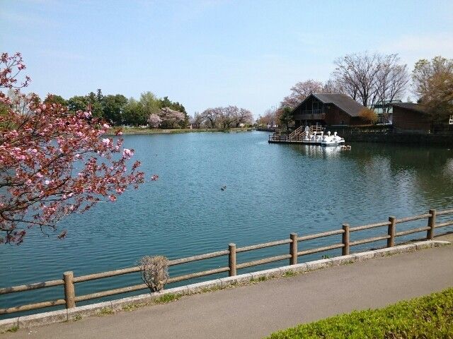 公園　三ツ寺公園（公園）まで2800m