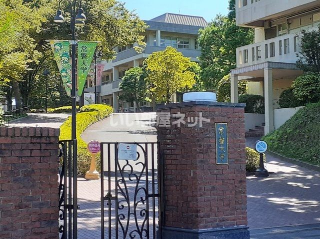 大学・短大　私立常磐大学（大学・短大）まで1039m