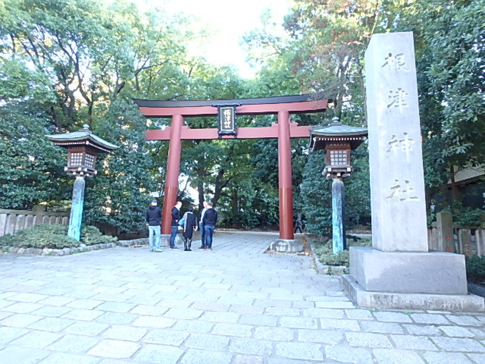 公園　根津神社（公園）まで579m
