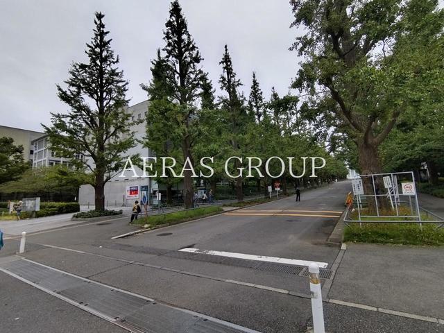 大学・短大　私立慶應義塾大学日吉キャンパス（大学・短大）まで880m