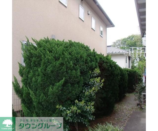 庭