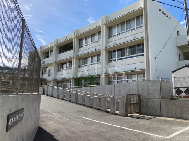 小学校　碧南市立棚尾小学校（小学校）まで400m