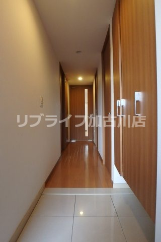玄関　写真は203