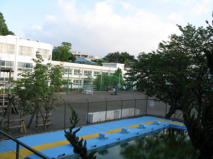 小学校　横須賀市立豊島小学校（小学校）まで558m