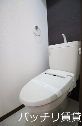 トイレ　類似写真使用のため、現状優先。