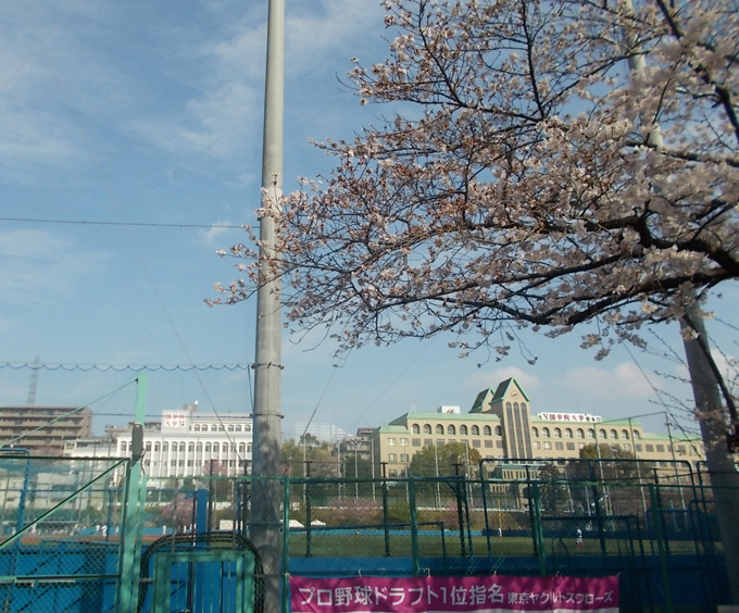 東急田園都市線 たまプラーザ駅 徒歩7分 5階建 築52年の周辺写真