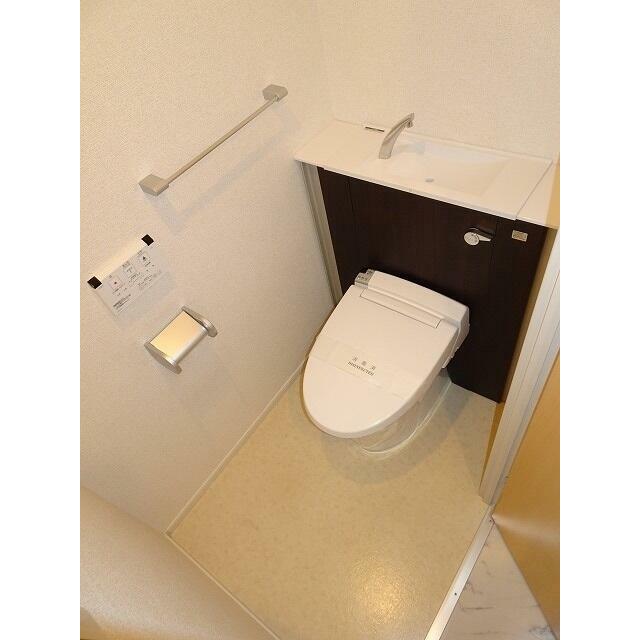 メゾン TMD 部屋番号:1001のトイレ写真