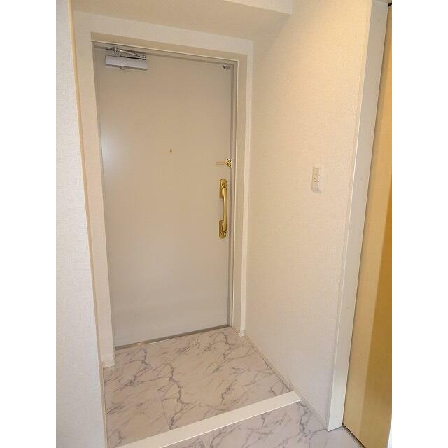 メゾン TMD 部屋番号:1001の玄関写真