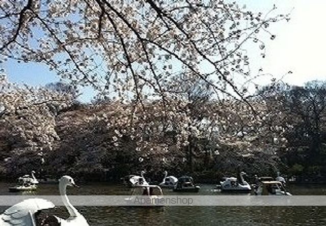 公園　井の頭公園（公園）まで2700m