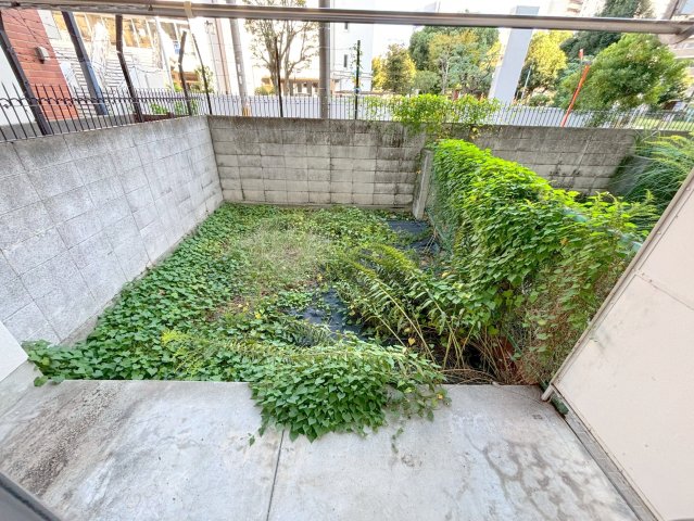 庭