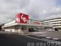 ドラックストア　スギ薬局堺東雲店（ドラッグストア）まで405m