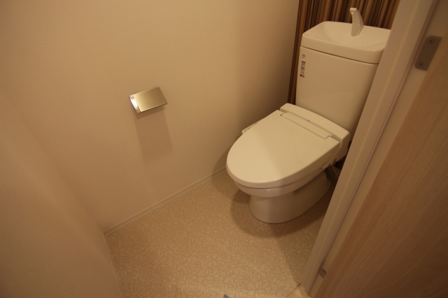 スタイリオ元住吉IIのトイレ写真