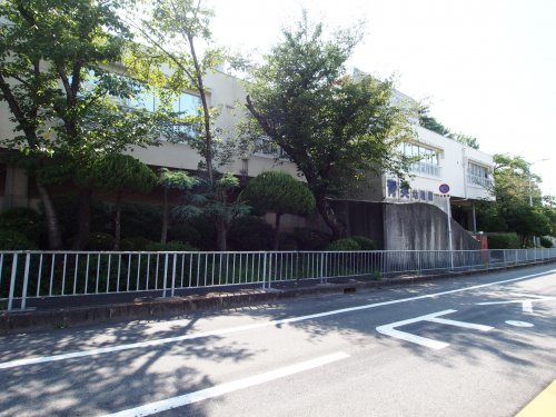 幼稚園・保育園　青英幼稚園（幼稚園・保育園）まで2481m