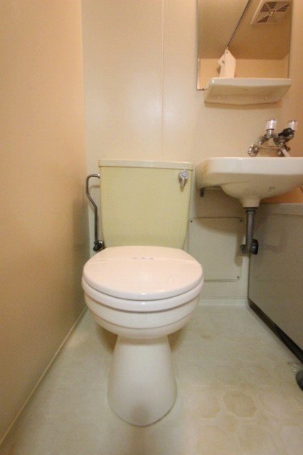 トイレ　同物件、別号室写真