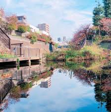 公園　音無もみじ緑地（公園）まで611m