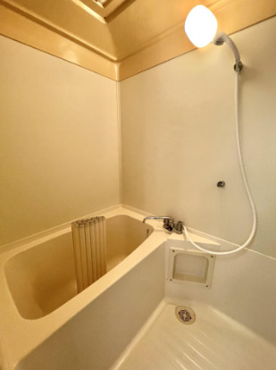 バス・シャワールーム　※別号室のお写真となります